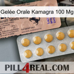 Gelée Orale Kamagra 100 Mg 41